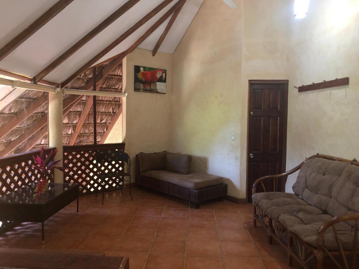 Puerto Jiménez Chosa Manglar Suites & Cabins מראה חיצוני תמונה